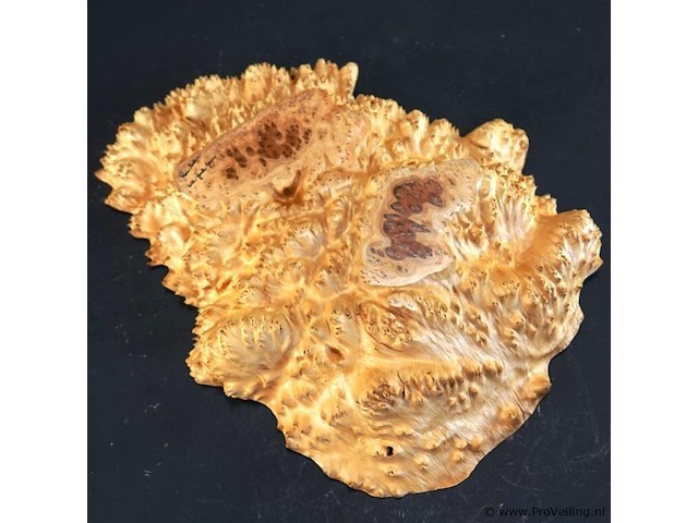 Unieke houten schaal gemaakt van een knoest of burl (wortel-/stamvergroeiing van een boom) - afbeelding 3 van  4