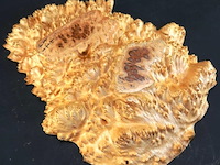 Unieke houten schaal gemaakt van een knoest of burl (wortel-/stamvergroeiing van een boom) - afbeelding 3 van  4
