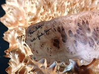Unieke houten schaal gemaakt van een knoest of burl (wortel-/stamvergroeiing van een boom) - afbeelding 4 van  4