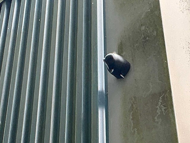 Univieuw netwerkvideorecorder met 11 camera’s - afbeelding 8 van  10