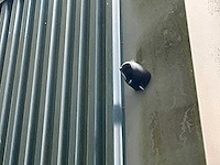 Univieuw netwerkvideorecorder met 11 camera’s - afbeelding 8 van  10