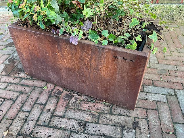 Upperbloom - metalen plantenbak met inhoud (2x) - afbeelding 2 van  6