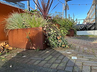 Upperbloom - metalen plantenbak met inhoud (2x) - afbeelding 6 van  6