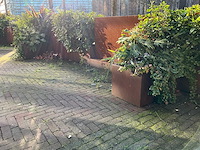 Upperbloom - metalen plantenbak met inhoud (2x) - afbeelding 4 van  6