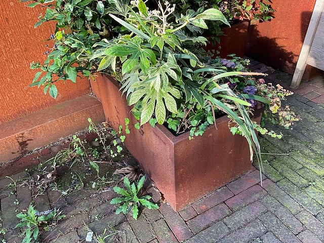 Upperbloom - metalen plantenbak met inhoud (2x) - afbeelding 5 van  6