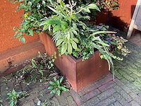 Upperbloom - metalen plantenbak met inhoud (2x) - afbeelding 5 van  6