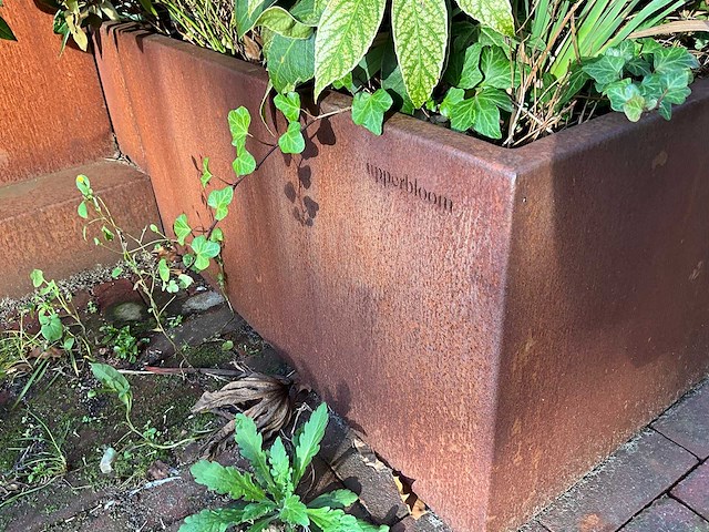 Upperbloom - metalen plantenbak met inhoud (2x) - afbeelding 6 van  6