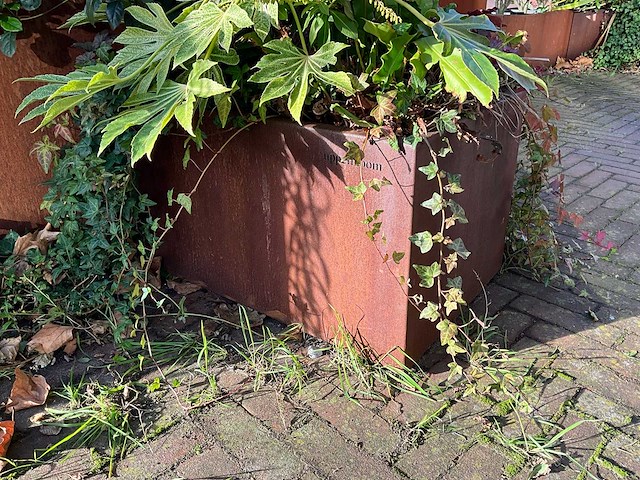 Upperbloom - metalen plantenbak met inhoud (2x) - afbeelding 4 van  7