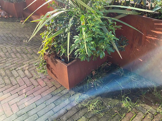 Upperbloom - metalen plantenbak met inhoud (2x) - afbeelding 6 van  7