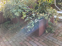 Upperbloom - metalen plantenbak met inhoud (2x) - afbeelding 4 van  7