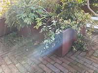 Upperbloom - metalen plantenbak met inhoud (2x) - afbeelding 5 van  7