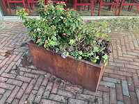 Upperbloom - metalen plantenbak met inhoud (2x) - afbeelding 1 van  6