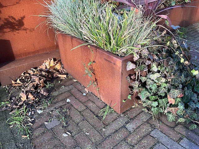 Upperbloom - metalen plantenbak met inhoud (2x) - afbeelding 3 van  6