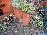 Upperbloom - metalen plantenbak met inhoud (2x) - afbeelding 3 van  6