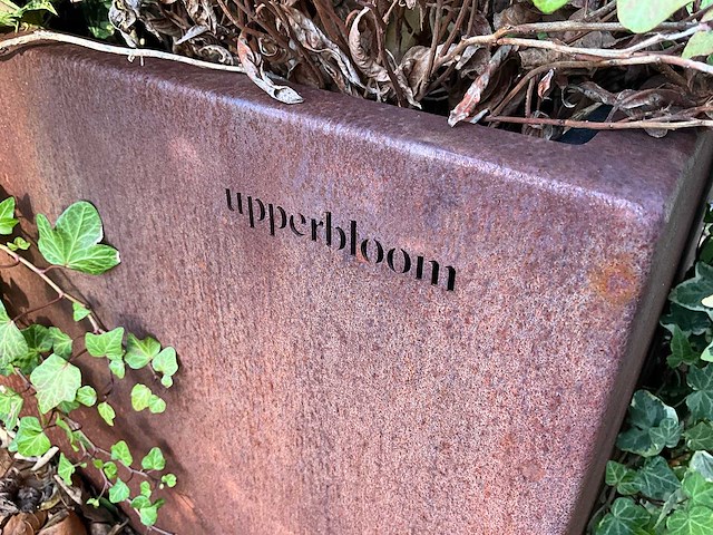 Upperbloom - metalen plantenbak met inhoud (2x) - afbeelding 5 van  6