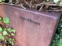 Upperbloom - metalen plantenbak met inhoud (2x) - afbeelding 5 van  6