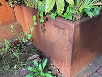 Upperbloom - metalen plantenbak met inhoud (2x) - afbeelding 6 van  6