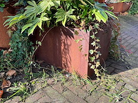 Upperbloom - metalen plantenbak met inhoud (2x) - afbeelding 4 van  7