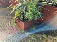 Upperbloom - metalen plantenbak met inhoud (2x) - afbeelding 6 van  7