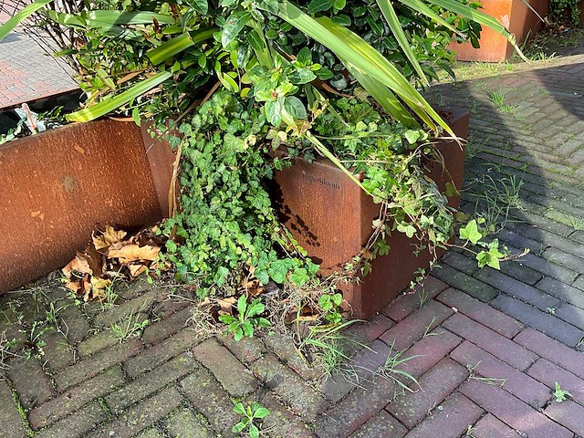 Upperbloom - metalen plantenbak met inhoud (2x) - afbeelding 7 van  7