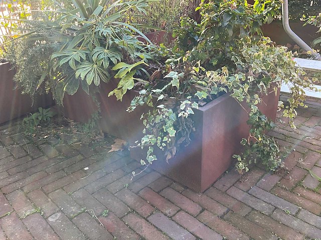 Upperbloom - metalen plantenbak met inhoud (2x) - afbeelding 4 van  7