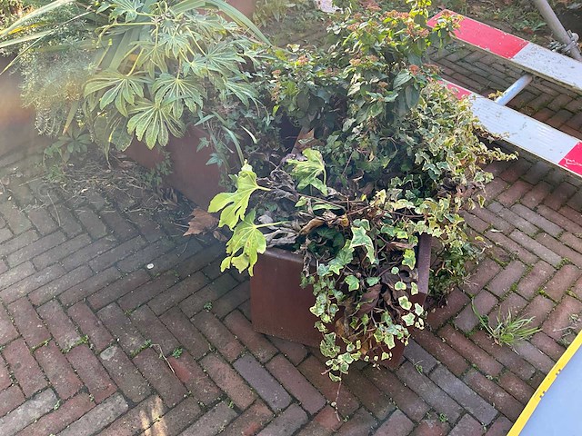 Upperbloom - metalen plantenbak met inhoud (2x) - afbeelding 7 van  7