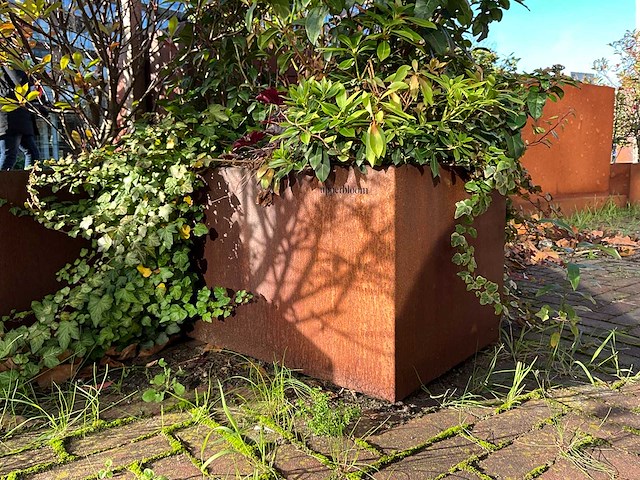 Upperbloom - metalen plantenbak met inhoud - afbeelding 4 van  6