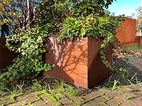 Upperbloom - metalen plantenbak met inhoud - afbeelding 4 van  6