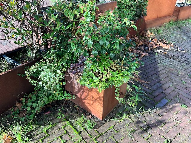 Upperbloom - metalen plantenbak met inhoud - afbeelding 6 van  6