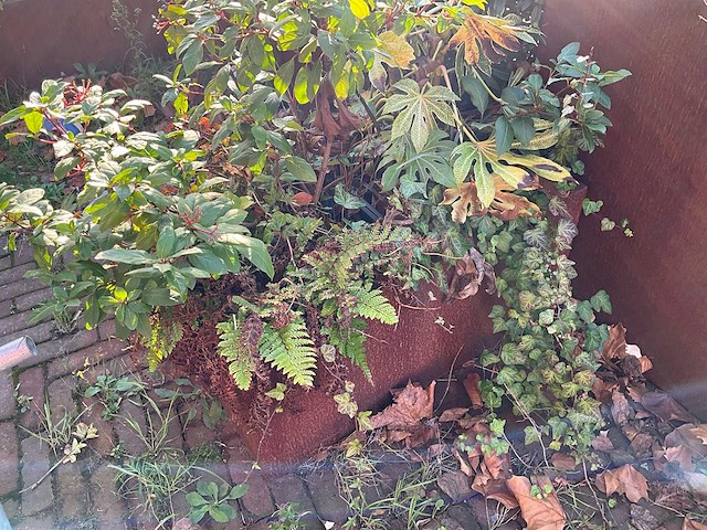 Upperbloom - metalen plantenbak met inhoud - afbeelding 3 van  4