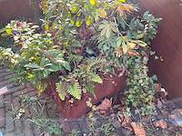 Upperbloom - metalen plantenbak met inhoud - afbeelding 3 van  4