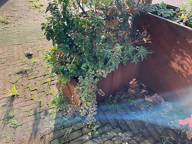Upperbloom - metalen plantenbak met inhoud - afbeelding 3 van  6