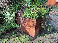 Upperbloom - metalen plantenbak met inhoud - afbeelding 5 van  6