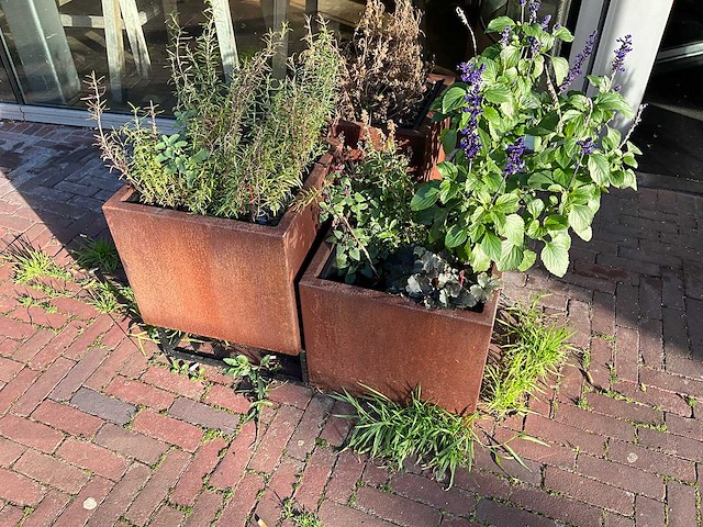 Upperbloom - plantenbak (3x) - afbeelding 1 van  5