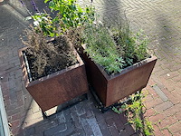 Upperbloom - plantenbak (3x) - afbeelding 3 van  5