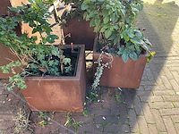 Upperbloom - plantenbak (4x) - afbeelding 4 van  6