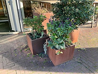 Upperbloom - plantenbak (4x) - afbeelding 1 van  6