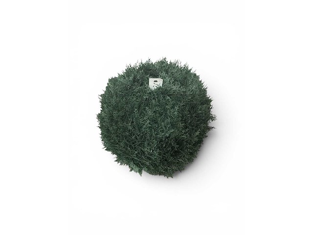 Uv beschermend voor buiten buxus bol (10x) - afbeelding 3 van  6