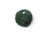 Uv beschermend voor buiten buxus bol (10x) - afbeelding 3 van  6