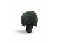 Uv beschermend voor buiten buxus bol (10x) - afbeelding 4 van  6