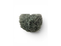 Uv beschermend voor buiten buxus bol (10x) - afbeelding 5 van  6