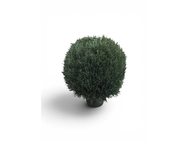 Uv beschermend voor buiten buxus bol (10x) - afbeelding 6 van  6