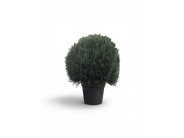 Uv beschermend voor buiten buxus bol (10x) - afbeelding 3 van  6