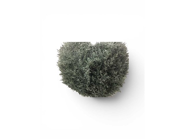 Uv beschermend voor buiten buxus bol (10x) - afbeelding 4 van  6