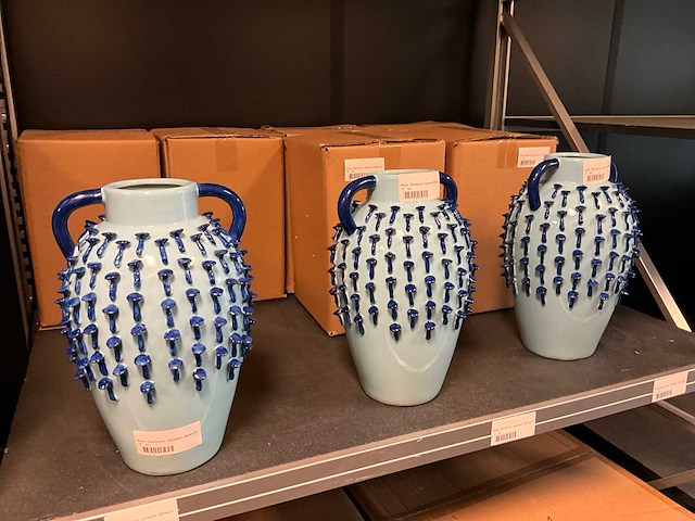 Vaas (100x) - afbeelding 9 van  13