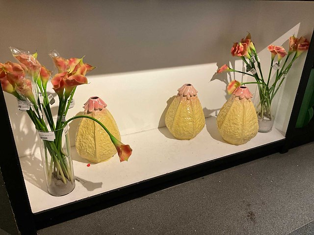 Vaas (25x) - afbeelding 2 van  5