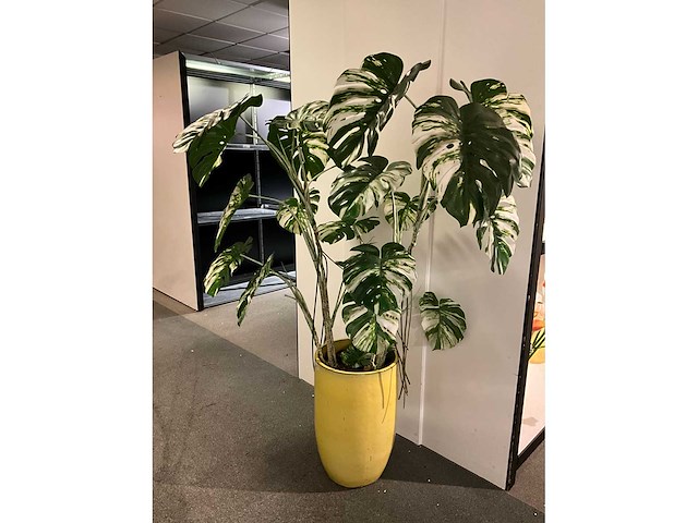 Vaas (25x) - afbeelding 3 van  5