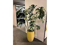 Vaas (25x) - afbeelding 3 van  5