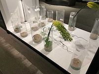 Vaas (40x) - afbeelding 5 van  19