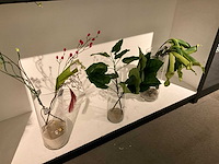 Vaas (40x) - afbeelding 10 van  19